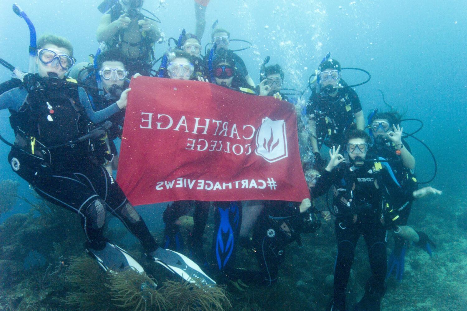 学生们手持<a href='http://dkit.daves-studio.com'>bv伟德ios下载</a>旗帜，在j学期洪都拉斯游学之旅中潜水.